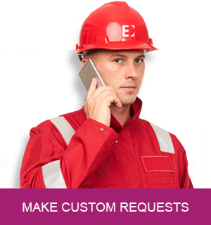 Make Custom Requests